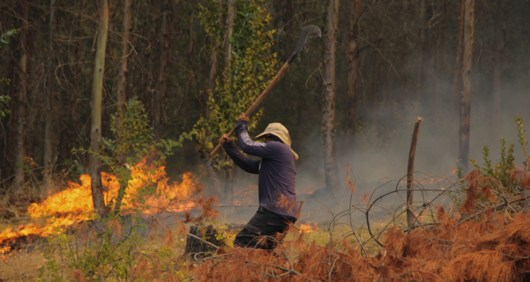 bono familias incendios forestales