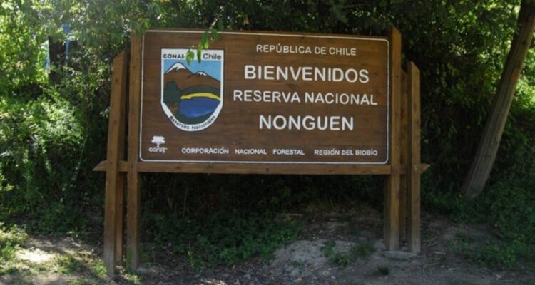 Cierre de parques en el Gran Concepción por riesgo de incendios forestales