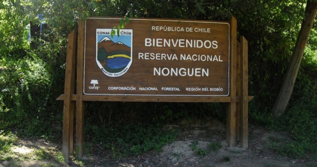 Cierre de parques en el Gran Concepción por riesgo de incendios forestales