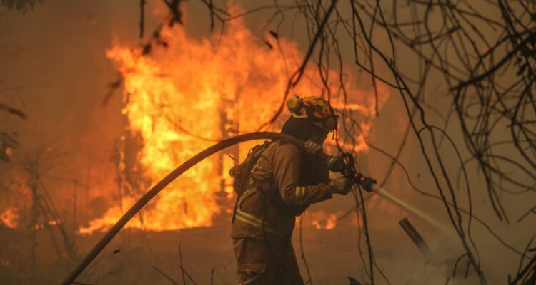 Piloto portugués por combate de incendios: “Lo de la semana pasada en 30 años no lo había visto”