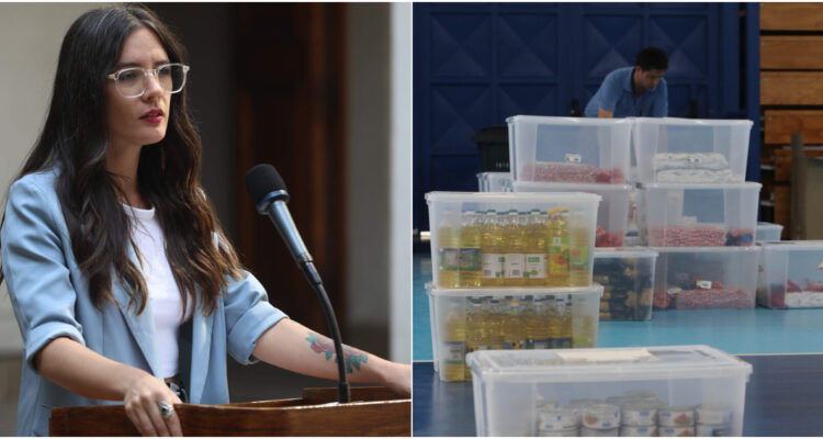 Gobierno anuncia Plan de Recuperación y Ayudas Tempranas para damnificados por incendios