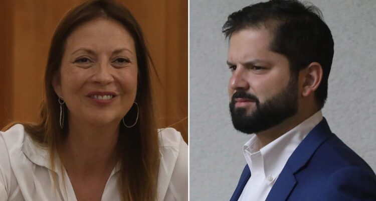PPD confirma dos listas constituyentes y asegura que lealtad con Gabriel Boric “no está en cuestión”