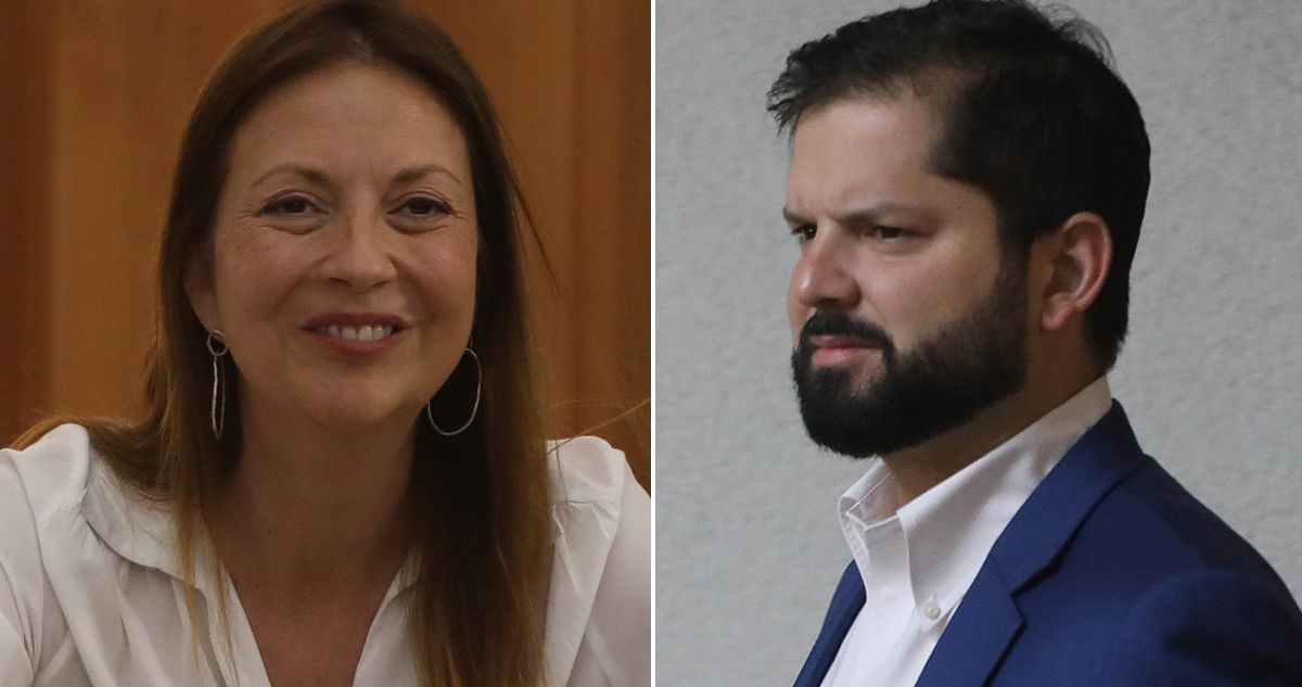 PPD confirma dos listas constituyentes y asegura que lealtad con Gabriel Boric “no está en cuestión”