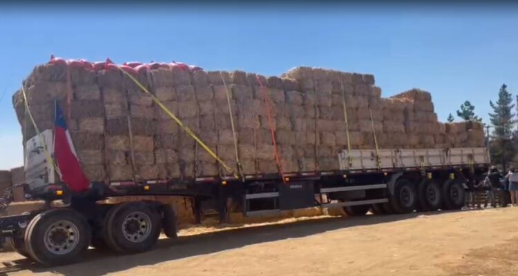 indap apoyo a productores