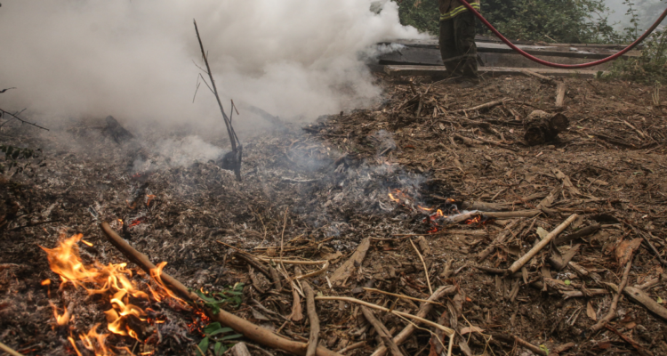 provincia de Bío Bío