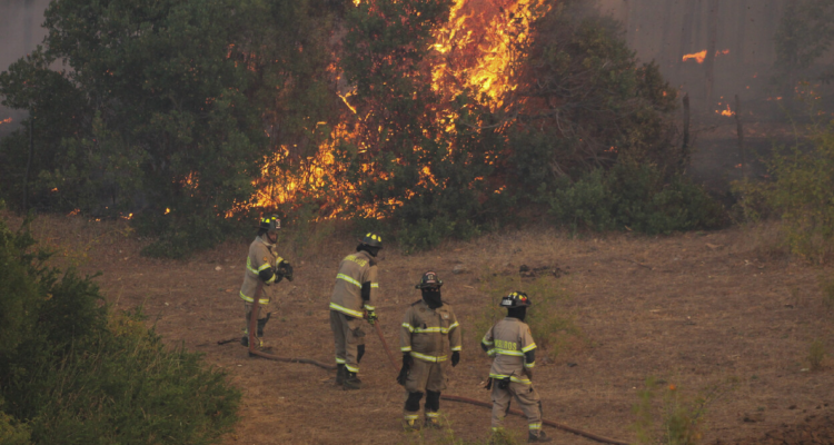 Reactivación de incendios en Bío Bío provoca daños a viviendas en diversas comunas
