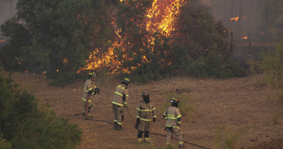 Reactivación de incendios en Bío Bío provoca daños a viviendas en diversas comunas