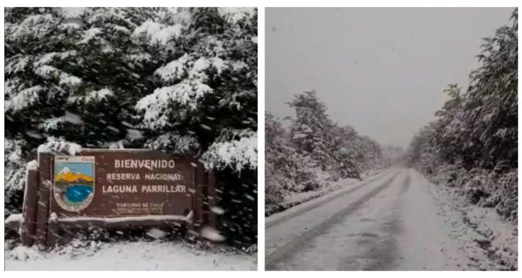 Nieve en Reserva Laguna Parrillar