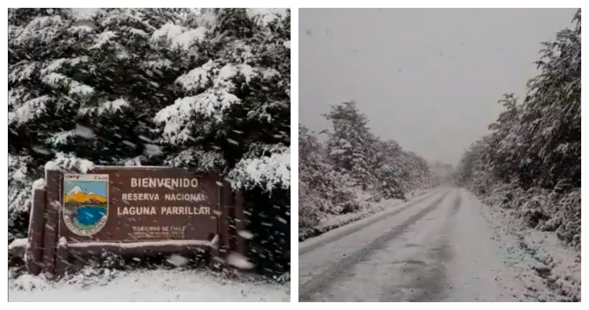 Nieve en Reserva Laguna Parrillar