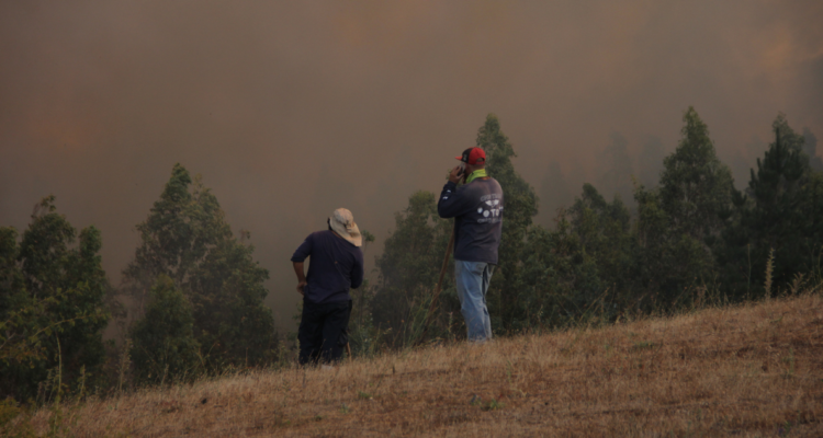 familias reposición de vivienda