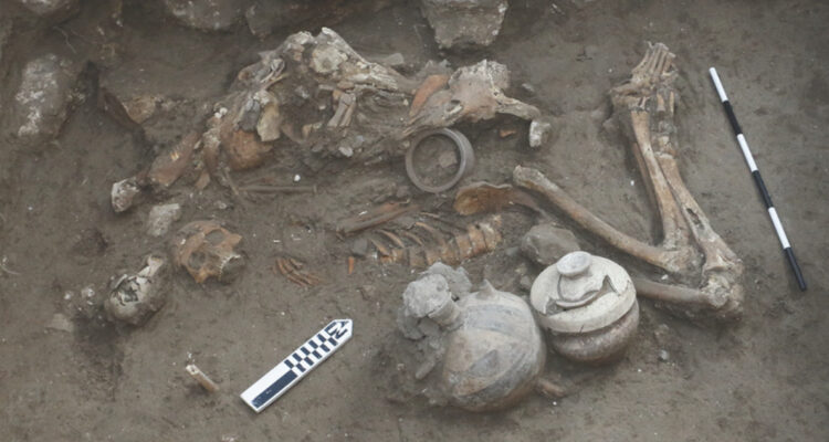 Restos de la cirugía cerebral de hace 3.500 años