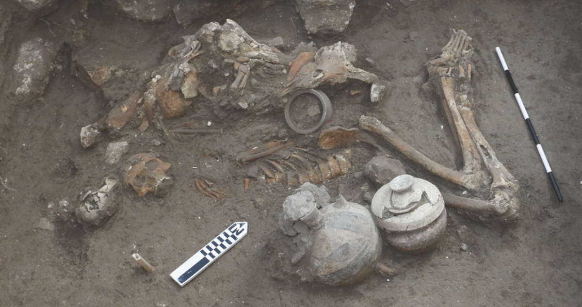 Restos de la cirugía cerebral de hace 3.500 años
