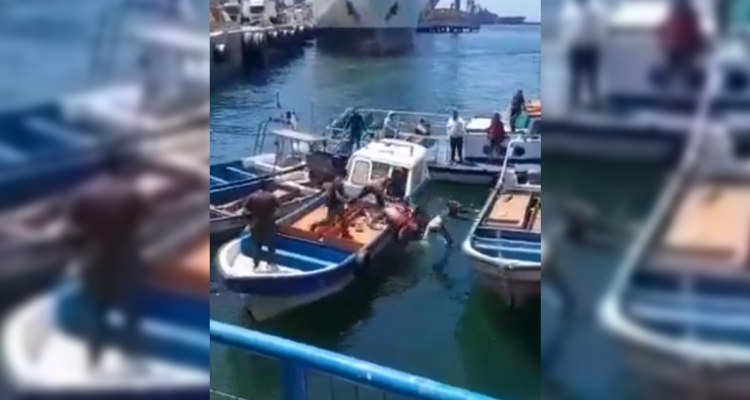 Riña entre lancheros en Valparaíso