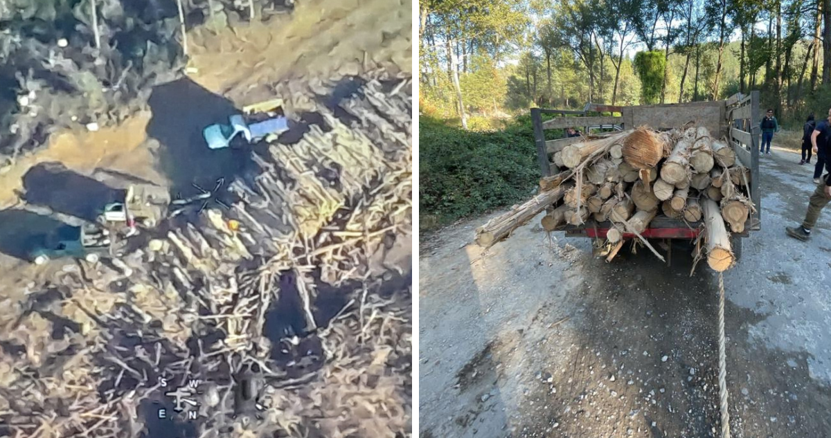 robo de madera Lota