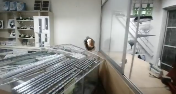 Roban $500 millones en productos desde ferretería de Estación Central ubicada junto a la Usach