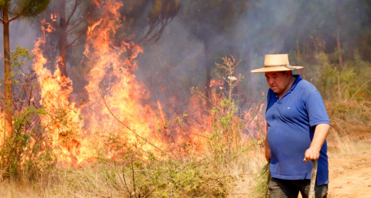 “Se está quemando Santa Juana y no tenemos decreto”: alcaldesa exige Estado de Excepción por incendios