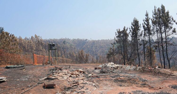 Familiares de víctimas por incendios en Santa Juana analizan acciones legales contra el Estado