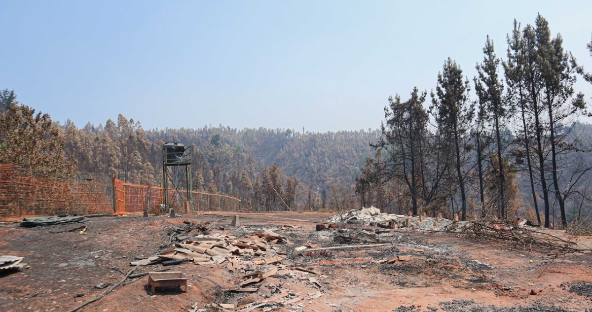 Familiares de víctimas por incendios en Santa Juana analizan acciones legales contra el Estado