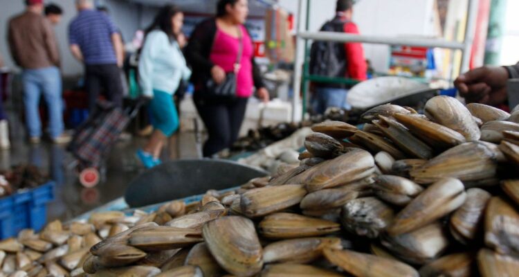 Cuándo es semana santa y qué días son feriados