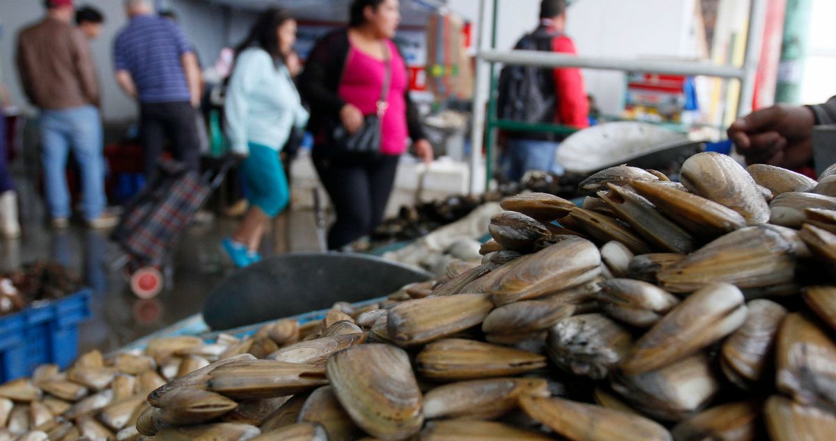 Cuándo es semana santa y qué días son feriados