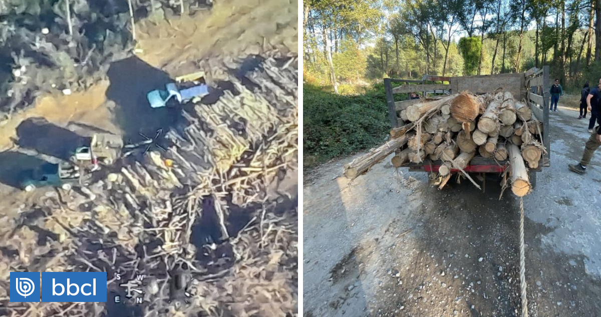 Aprovechaban Las Emergencias Detienen A 10 Personas Por Robo De Madera