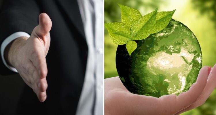 Sostenibilidad en los negocios: ¿Se puede?