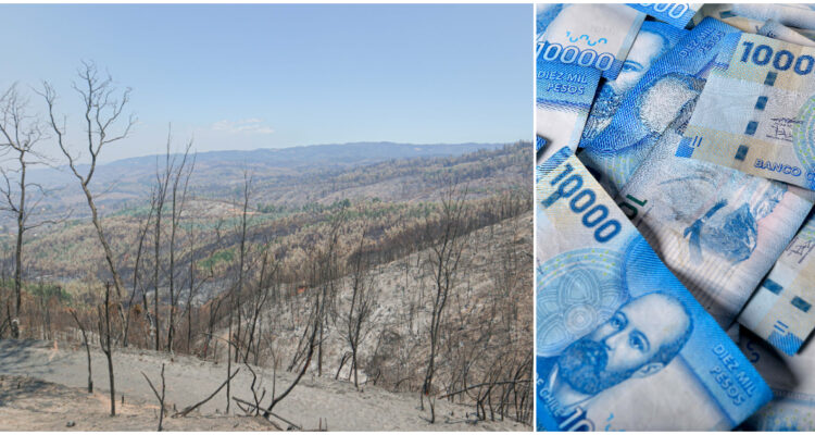 Subsidio de Emergencia Laboral por incendios forestales revisa cómo postular a las ayudas estatales
