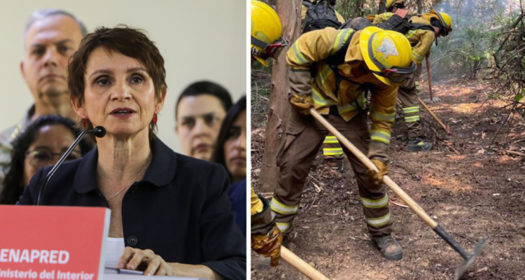 Tohá rectifica: hombre que murió aplastado por árbol “no es brigadista, sino trabajador forestal”