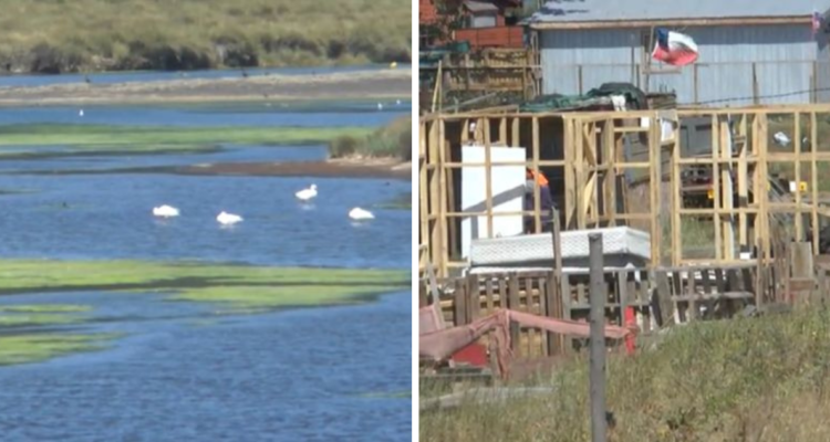 Desalojo pacífico en caleta Lenga