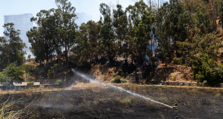 municipio Valparaíso incendios
