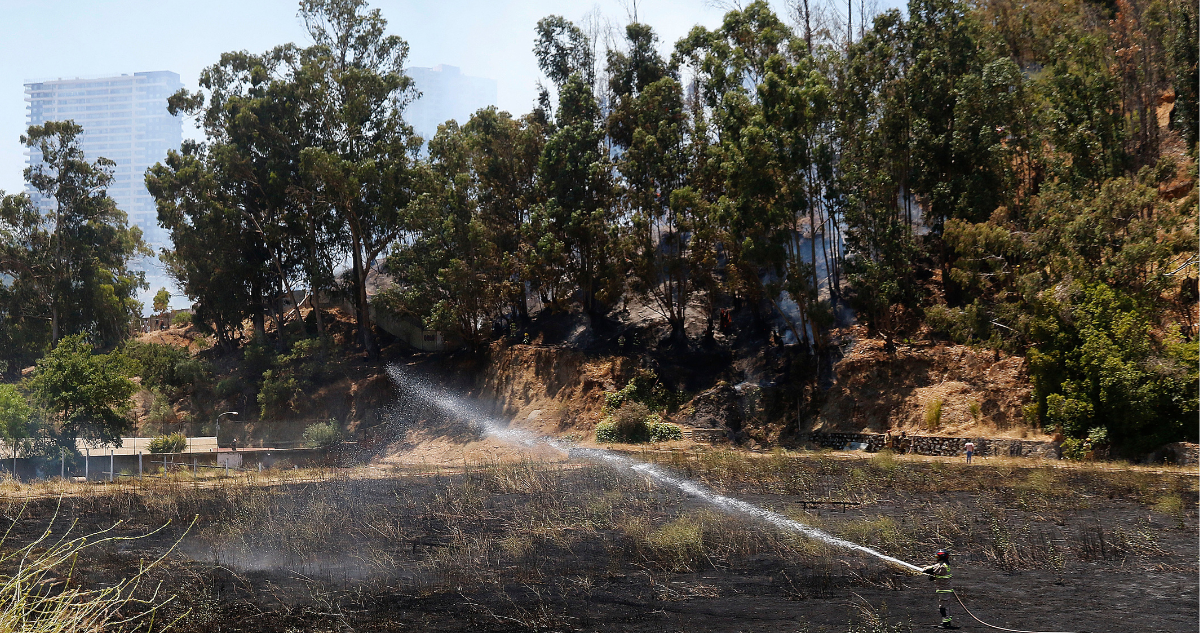municipio Valparaíso incendios