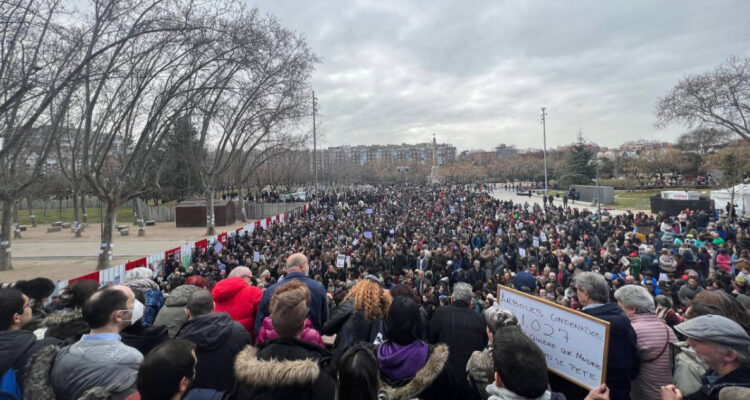 Tala de árboles en Madrid