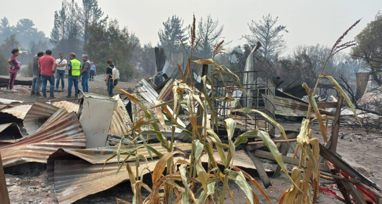 “No he tenido ayuda”: Alcalde de Yumbel comunica que en su comuna están solos en medio de incendios