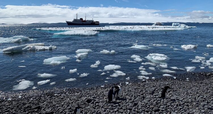Las aguas de la Antártica, específicamente en la región de la península al sur de Chile, presentaron durante el último año las temperaturas más altas vistas en los últimos 30 años.