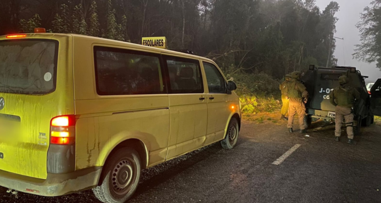 Sujetos cortan árboles y los arrojan sobre ruta en Lautaro: cayeron sobre postes del tendido eléctrico