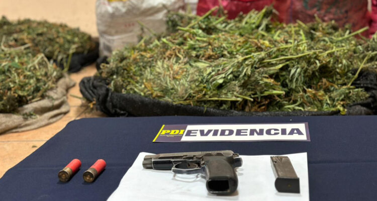 Incautan marihuana y arma en Los Vilos