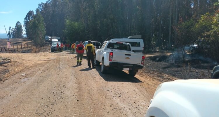 Corma denuncia “ataque a balazos” contra brigadistas en Los Sauces