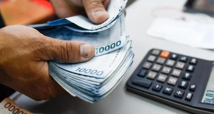 Qué es y cómo funciona el proyecto de ley (reforma constitucional) del autopréstamo de fondos previsionales (AFP)