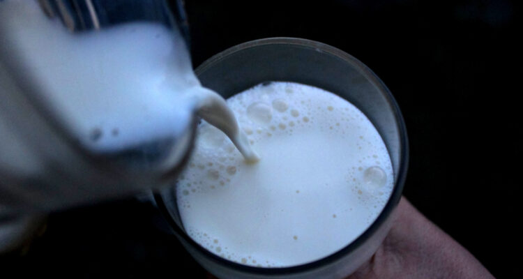 Bajan exportaciones de productos lácteos