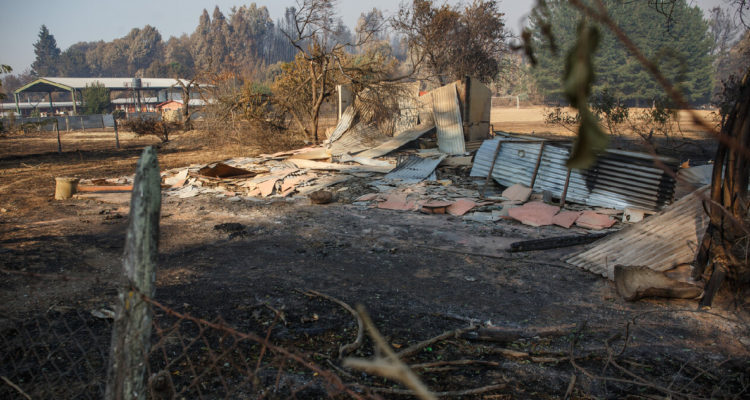 Bienes Nacionales inicia catastro de terrenos afectados por incendios entregarán títulos de dominio