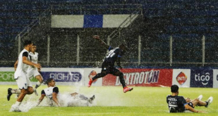 Bolivia Palmaflor Blooming