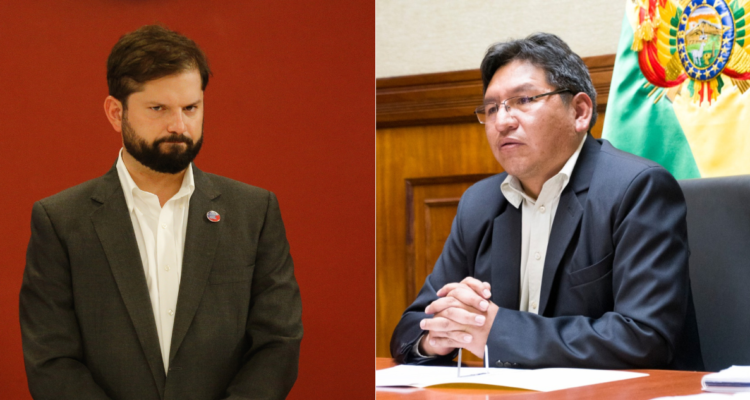 Presidente Gabriel Boric y viceministro Freddy Mamani.