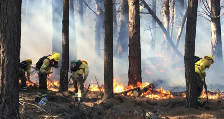 Brigadistas en incendio forestal