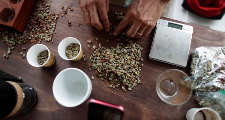 El cambio climático antropogénico amenaza el cultivo del café, alerta un nuevo estudio que aborda los riesgos enfrentados por estas plantaciones en los países productores.