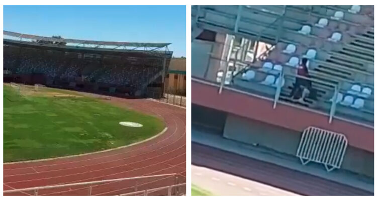 Sexo en Estadio de Curicó