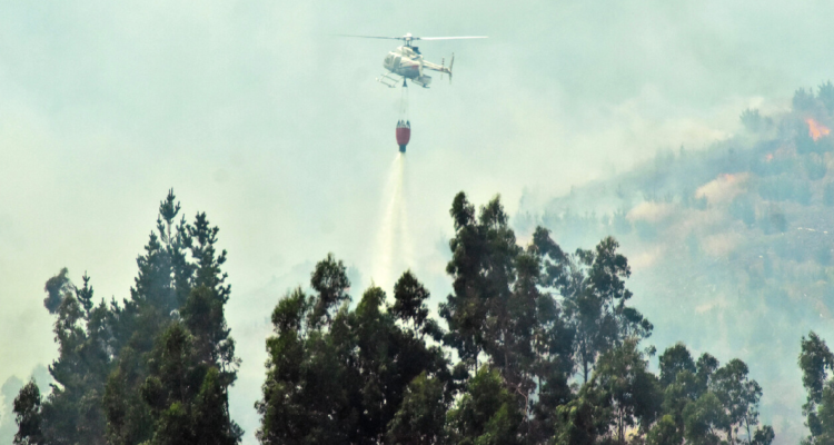 Combaten incendio forestal en Los Sauces el último que queda activo en La Araucanía