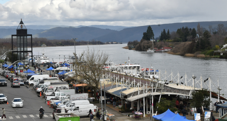 UACh congestión vehicular Valdivia
