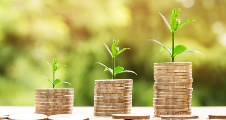 crecimiento económico