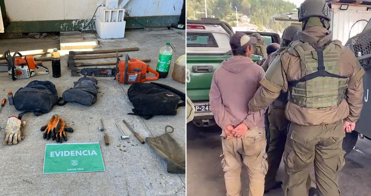 Detienen a 5 personas por robo de madera en Tirúa