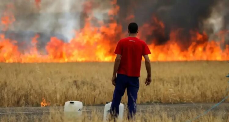 Detienen a hombre acusado de incendiar bosque nativo en Cochamó